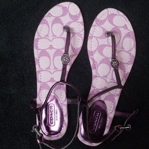 Coach Purple Thong Sandals
